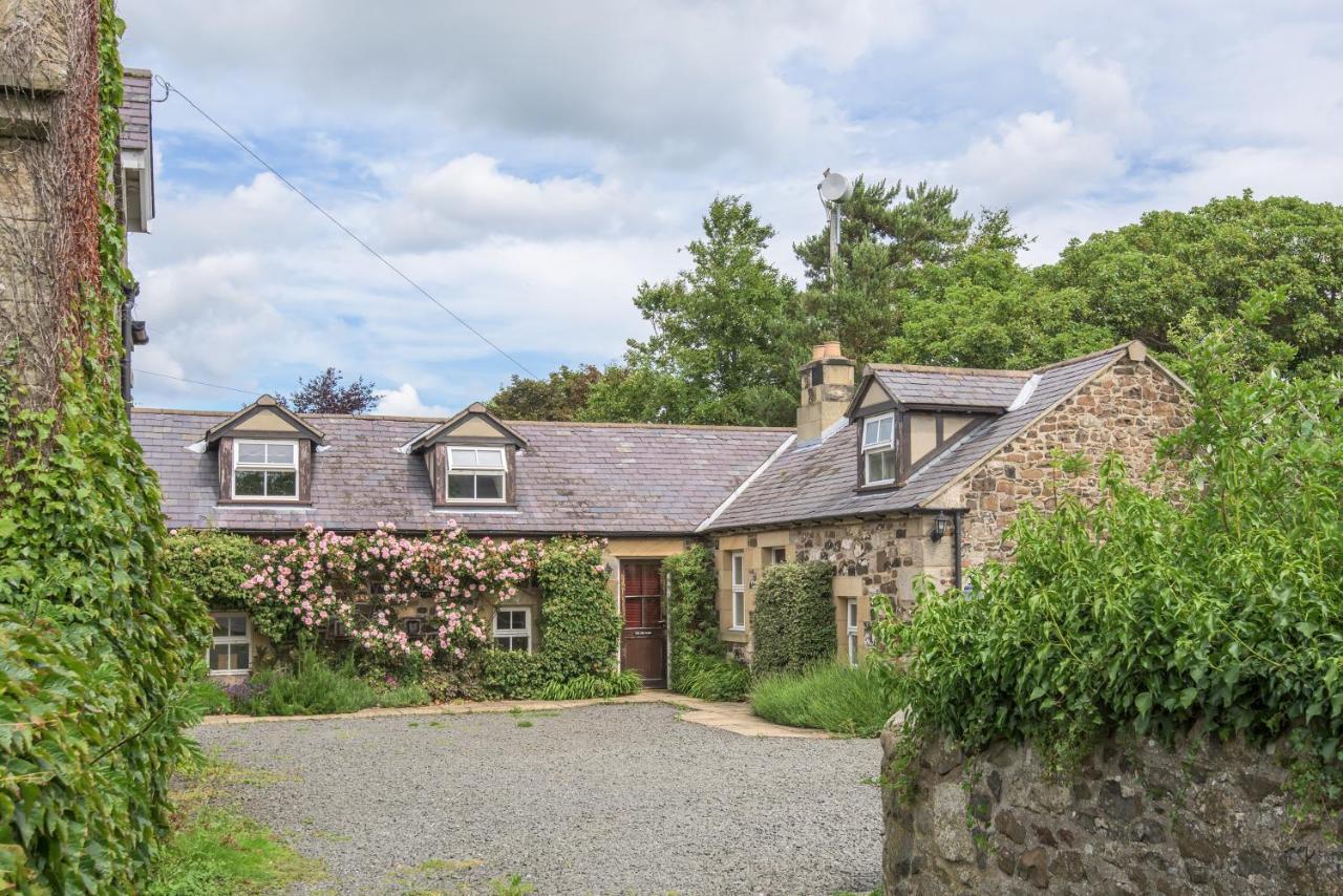 Rose Cottages Alnwick Zewnętrze zdjęcie